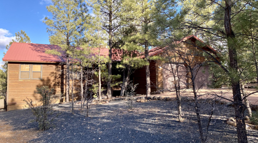 Cardinal Landing at Torreon