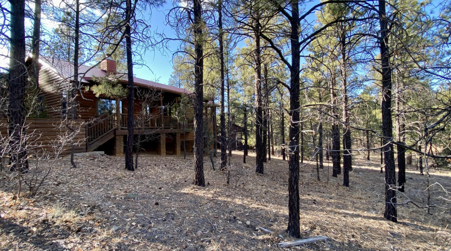 Space from Neighbors