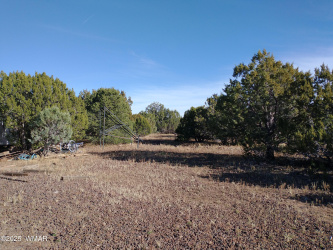 42 Cochise Trail, Vernon, Arizona 85940, ,Land,For Sale,Cochise,256082