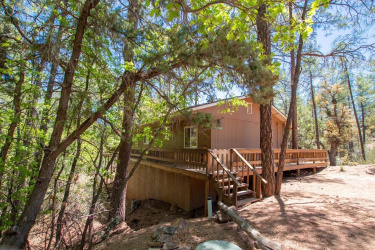3596 Pine View Drive, Pine, Arizona 85544, Bedrooms, ,Bathrooms,Residential,For Sale,Pine View,92288