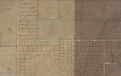 001 Oakley Street, Sun Valley, Arizona 86029, ,Land,For Sale,Oakley,256108