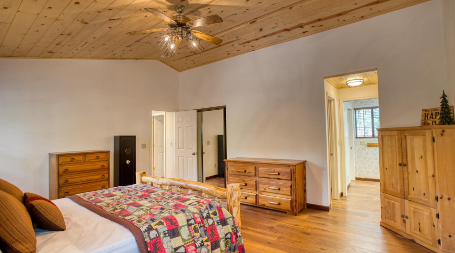 Paxmanphoto_PAX_2536