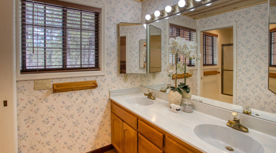 Paxmanphoto_PAX_2539