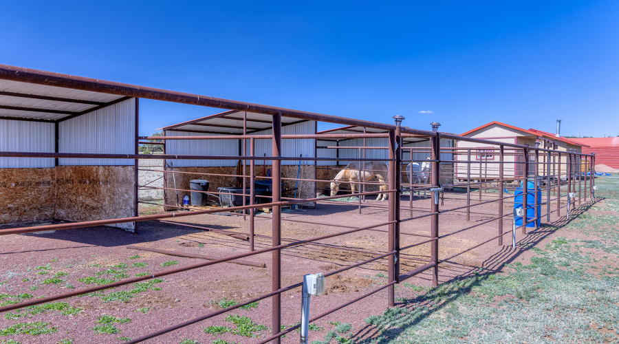 photo(40) 18 CR N3207 Vernon AZ 051425