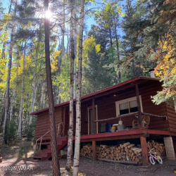 8 County Road 1006, Greer, Arizona 85927, Bedrooms, ,Bathrooms,Residential,For Sale,County Road 1006,256098