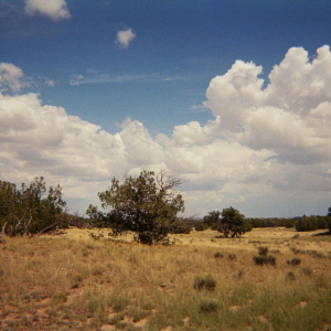 AZ 2007 Sierra Highland 3