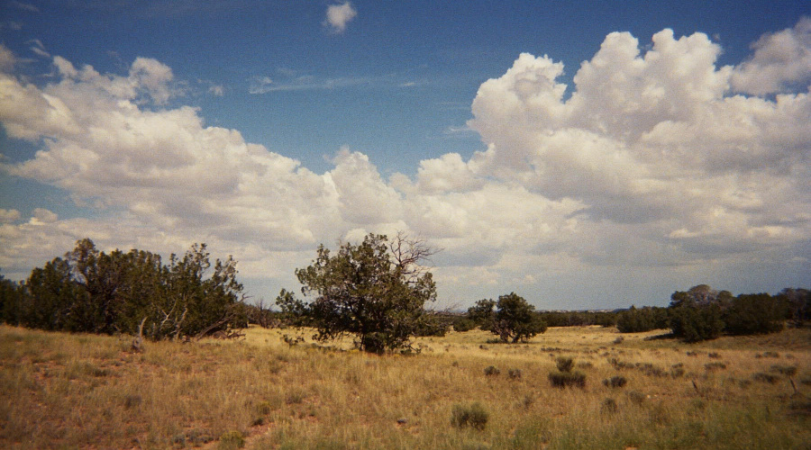 AZ 2007 Sierra Highland 3