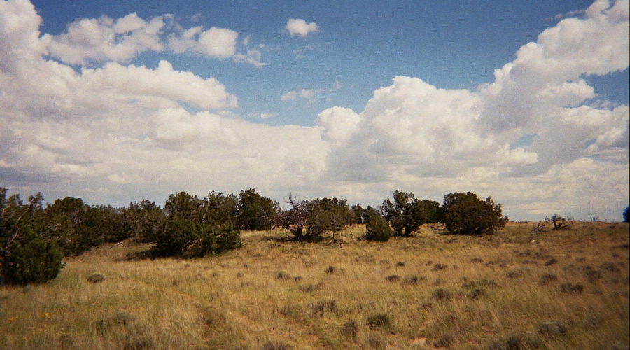 AZ 2007 Sierra Highland 2