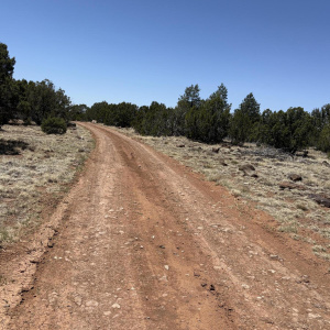 Texas Road