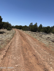 SW 9334 Texas Lane, Show Low, Arizona 85901, ,Land,For Sale,Texas,256163