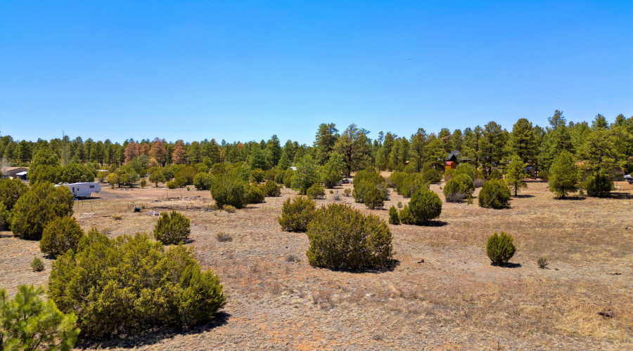 2821KeltonCir-Heber-AZ-13