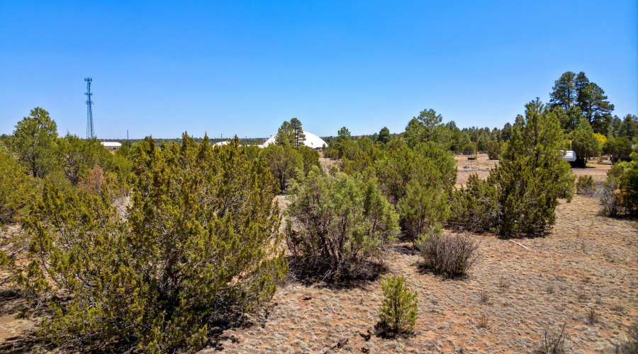 2821KeltonCir-Heber-AZ-14