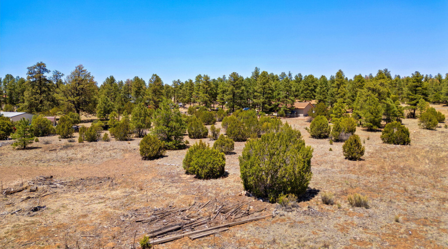 2821KeltonCir-Heber-AZ-15