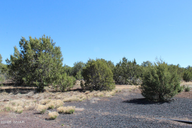 28 County Road N3099, Vernon, Arizona 85940, ,Land,For Sale,County Road N3099,256151