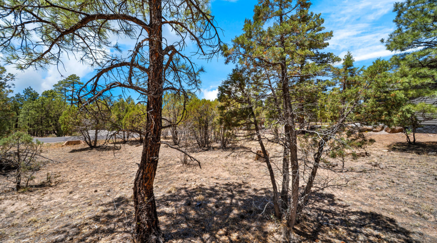 Come Build Your Dream Home