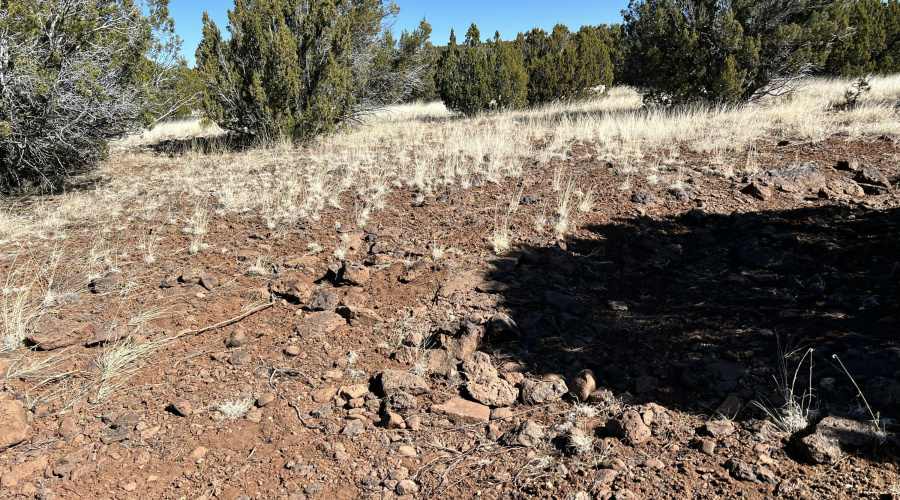 70257663901__4E320252-7D15-4276-B9BC-843