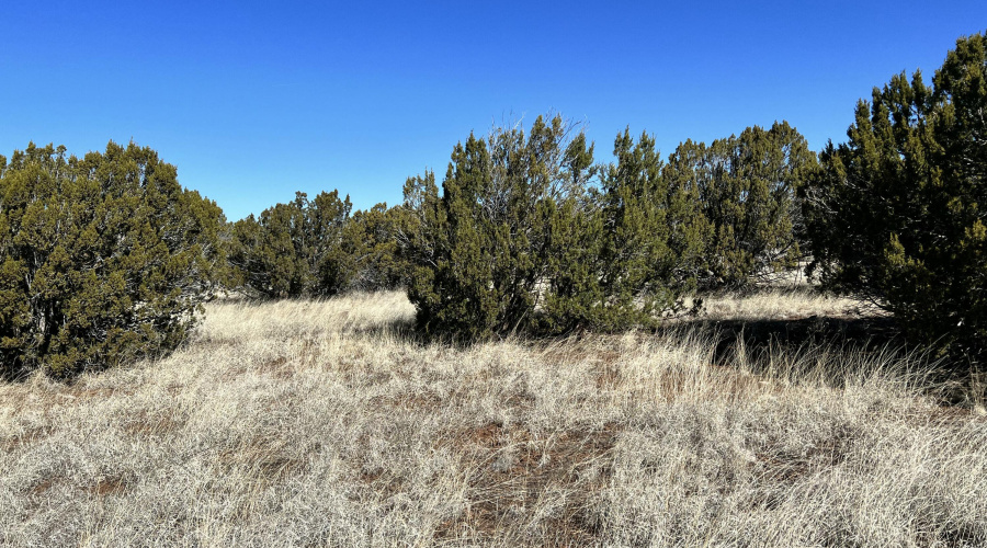 70257666707__93DB48B8-D39C-4023-A0FE-EAC