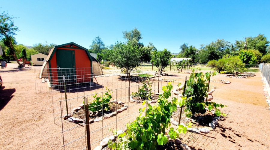 20250521_141009_resized