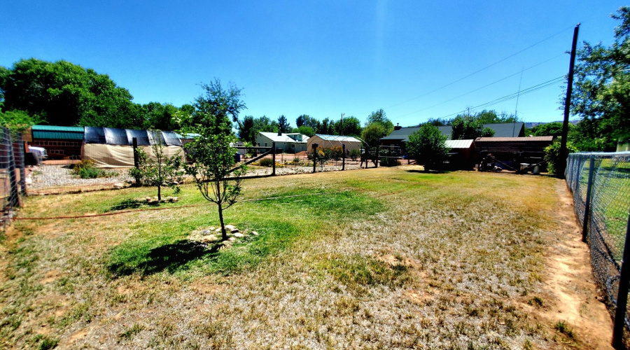 20250521_141151_resized