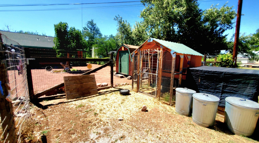 20250521_141229_resized