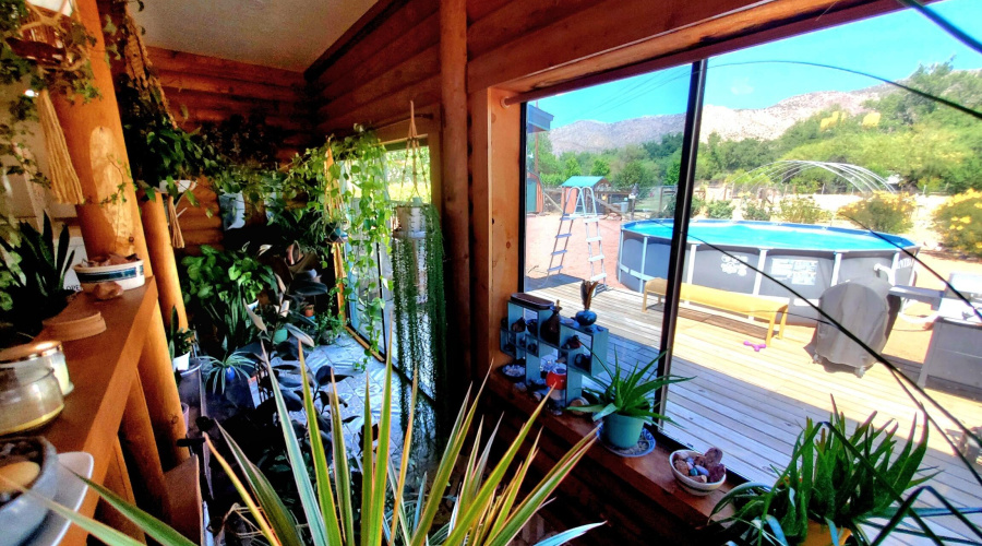 5-20250521_142739_resized