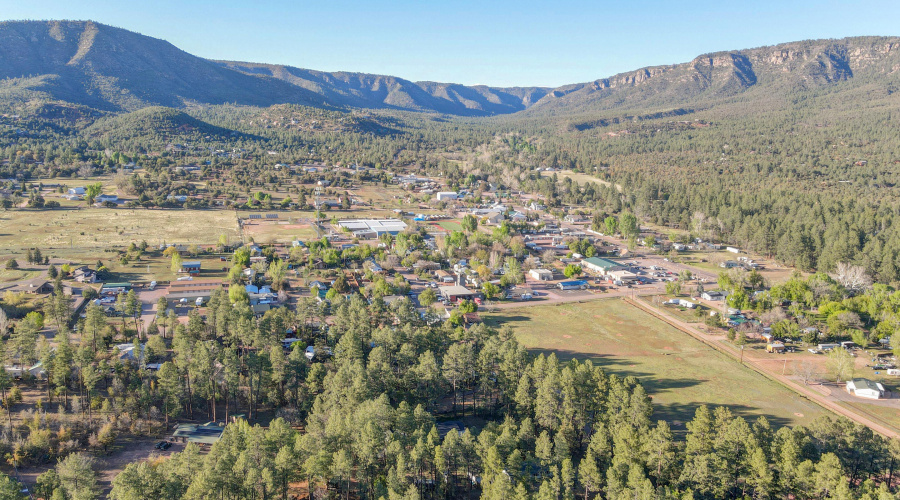 Aerial View - Mountain - Trees