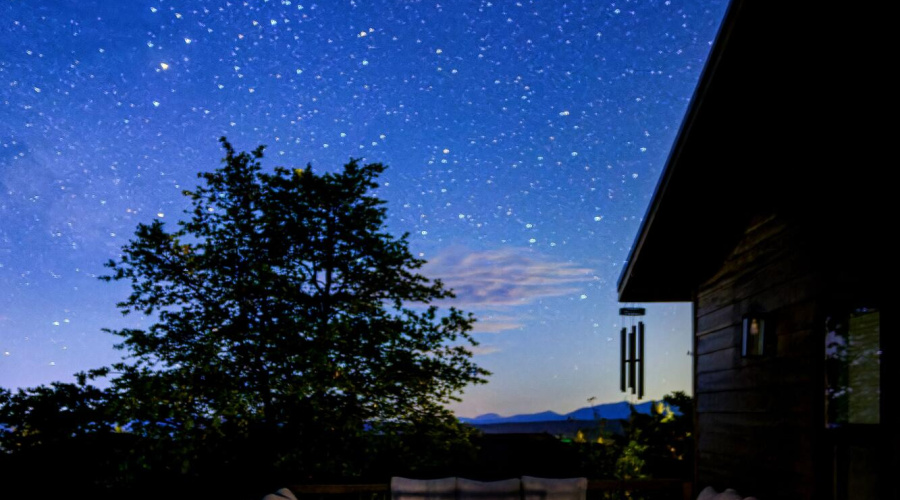 Stars_Trendy Pine Lodge