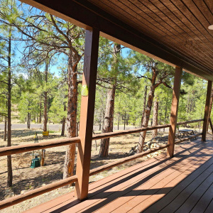 Wooded Views