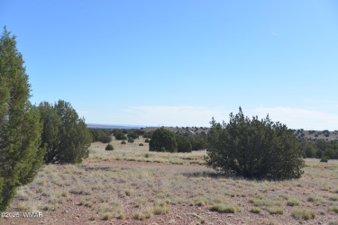 9234 and 9218 Red River, Concho, Arizona 85924, ,Land,For Sale,and 9218 Red River,256176