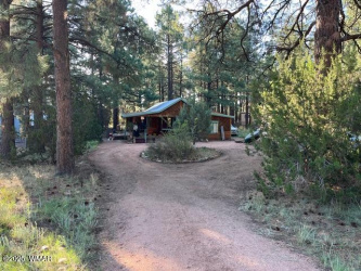 2841 Timber Trail Loop, Overgaard, Arizona 85933, Bedrooms, ,Bathrooms,Residential,For Sale,Timber Trail,256181