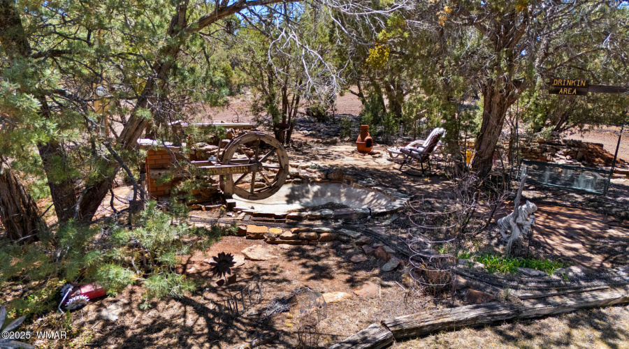 Waterwheel & Swing Under the Shade Trees