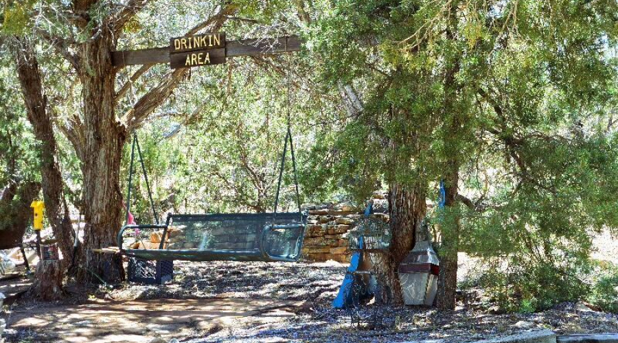 Swinging Under the Shade Trees