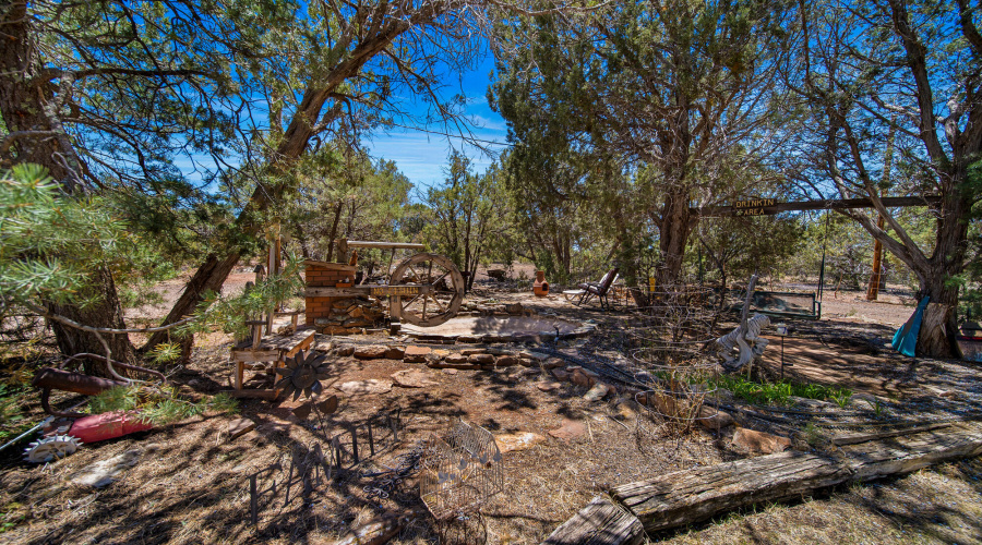 Waterwheel & Swing Under the Shade Trees