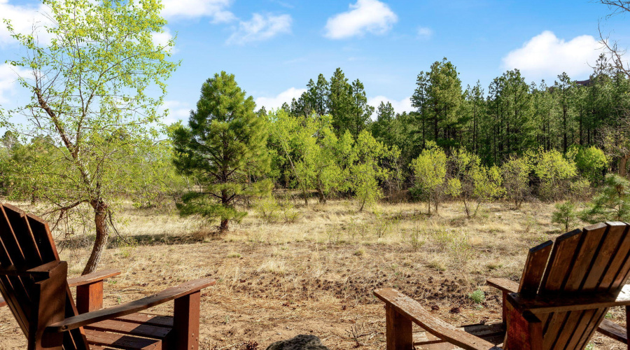 BlackCanyon Rear View