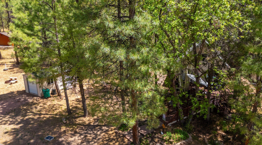 3971 N Apache Trl - 40