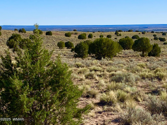 River Meadows Ranch Unit 3 Lot 204, Concho, Arizona 85924, ,Land,For Sale,Meadows Ranch Unit 3 Lot 204,256193