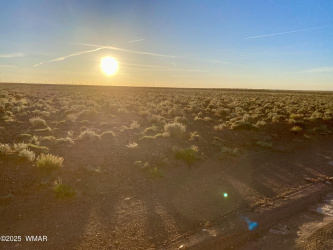 TBD Hodges Ln 39.05 Acres, Holbrook, Arizona 86025, ,Land,For Sale,Hodges Ln 39.05 Acres,256194