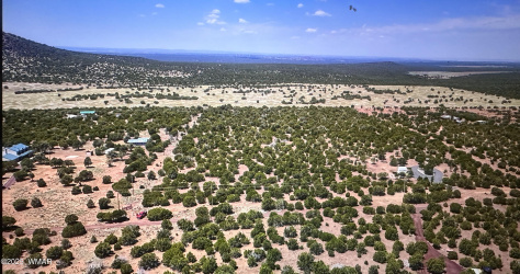 65 County Road 8148, Vernon, Arizona 85940, ,Land,For Sale,County Road 8148,255503