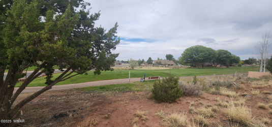 2642 Foothill Circle, Snowflake, Arizona 85937, ,Land,For Sale,Foothill,256192