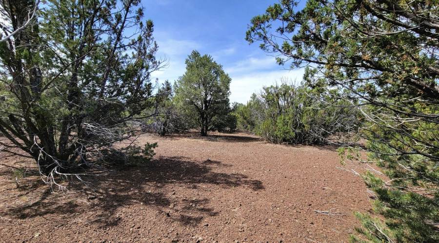 133 & 127 County Road N3314, Vernon, AZ