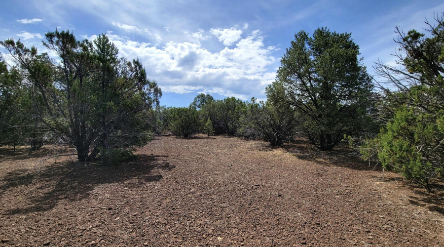 133 & 127 County Road N3314, Vernon, AZ