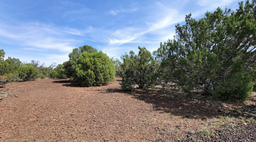 133 & 127 County Road N3314, Vernon, AZ