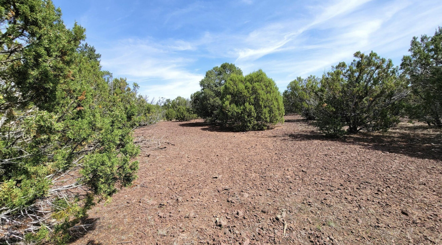 133 & 127 County Road N3314, Vernon, AZ