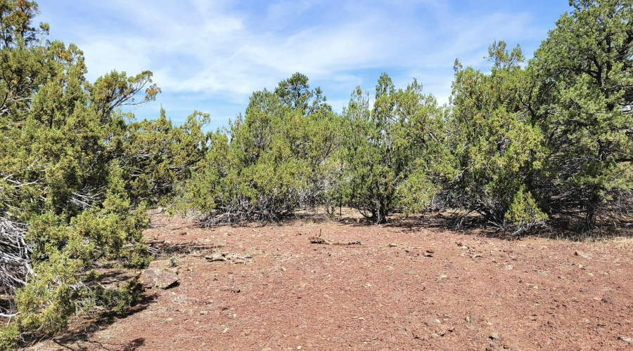 133 & 127 County Road N3314, Vernon, AZ