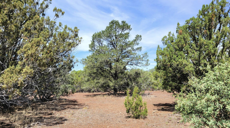 133 & 127 County Road N3314, Vernon, AZ