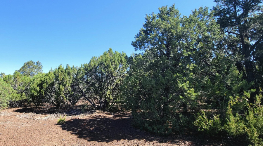 133 & 127 County Road N3314, Vernon, AZ