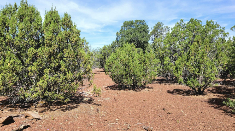 133 & 127 County Road N3314, Vernon, AZ