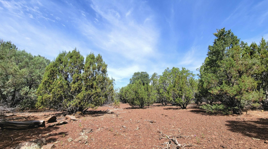 133 & 127 County Road N3314, Vernon, AZ