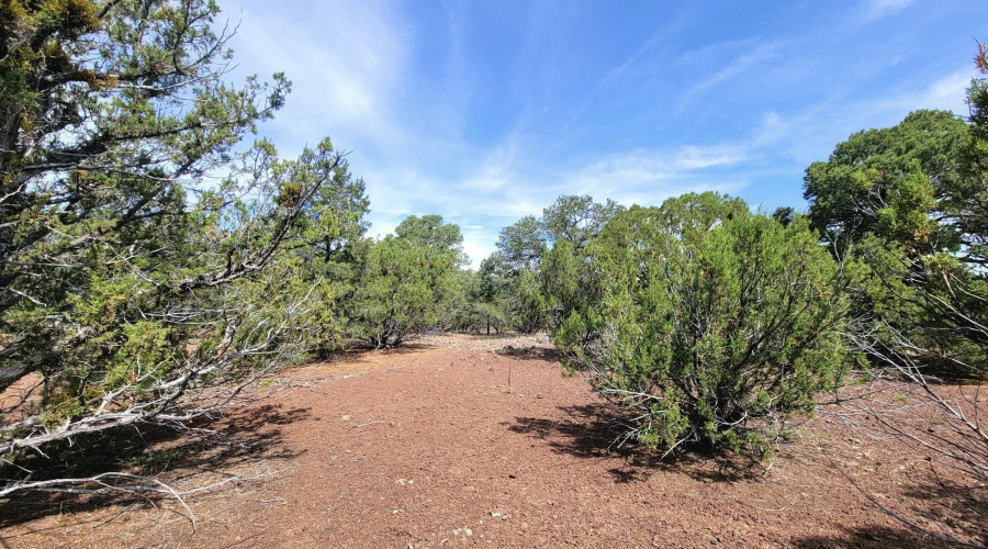 133 & 127 County Road N3314, Vernon, AZ