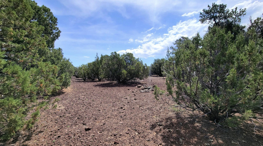 133 & 127 County Road N3314, Vernon, AZ